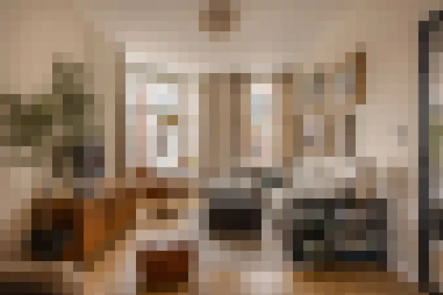 Sonoystraat 14 Den Haag thumbnail 9