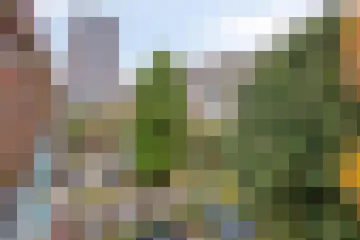 Sonoystraat 19 B Rotterdam thumbnail 34