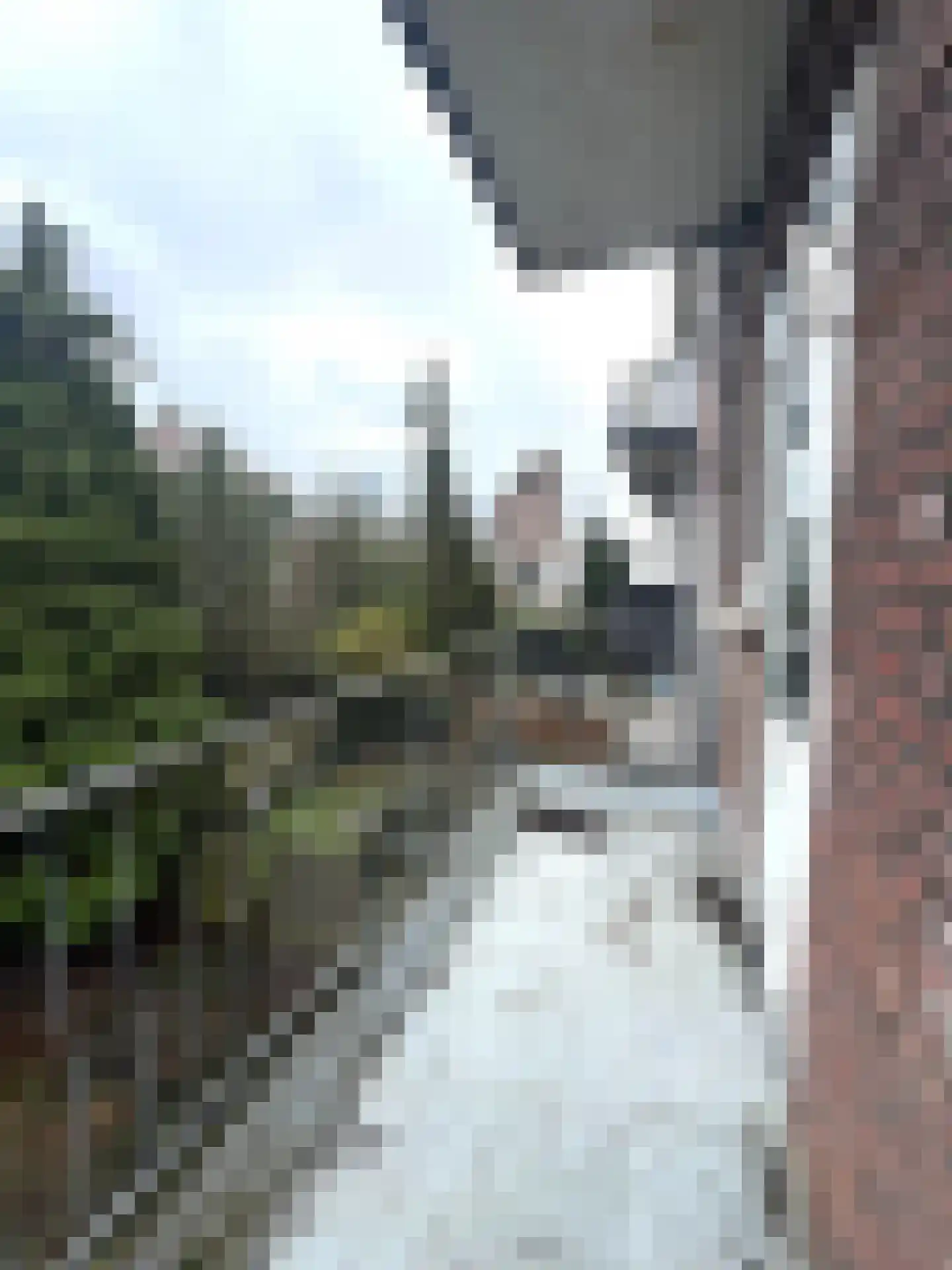 Sonoystraat 22 A Rotterdam thumbnail 10