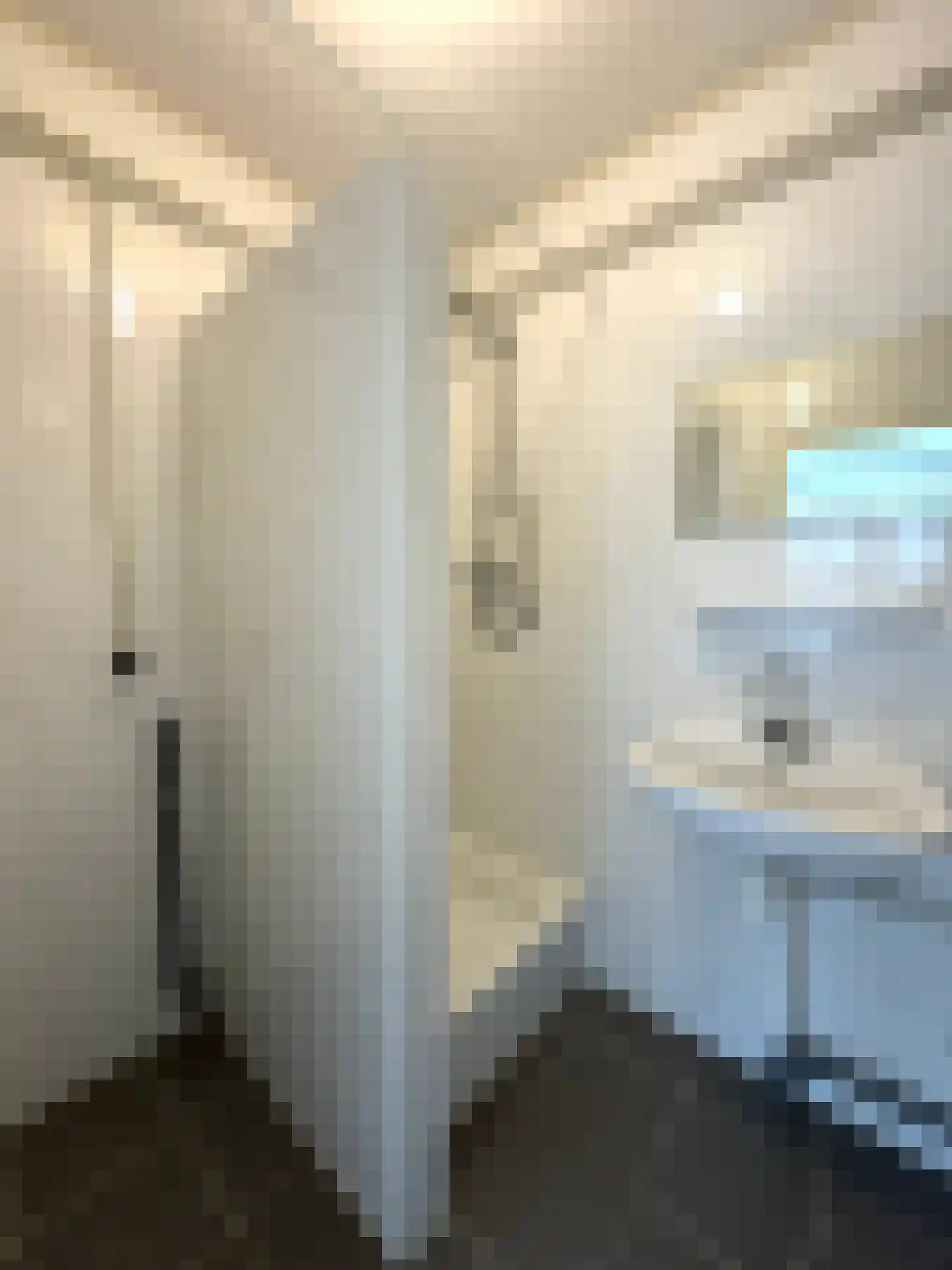 Sonoystraat 22 A Rotterdam thumbnail 14