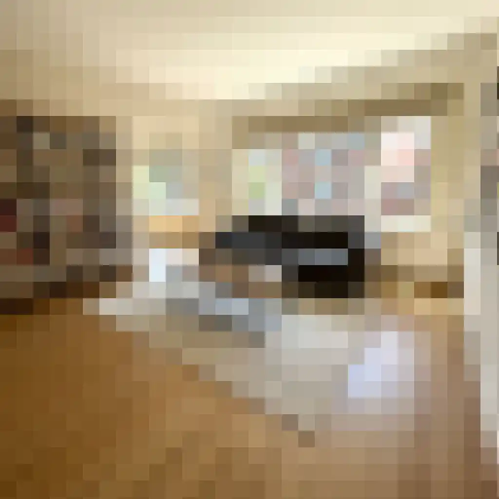 Sonoystraat 22 A Rotterdam thumbnail 4