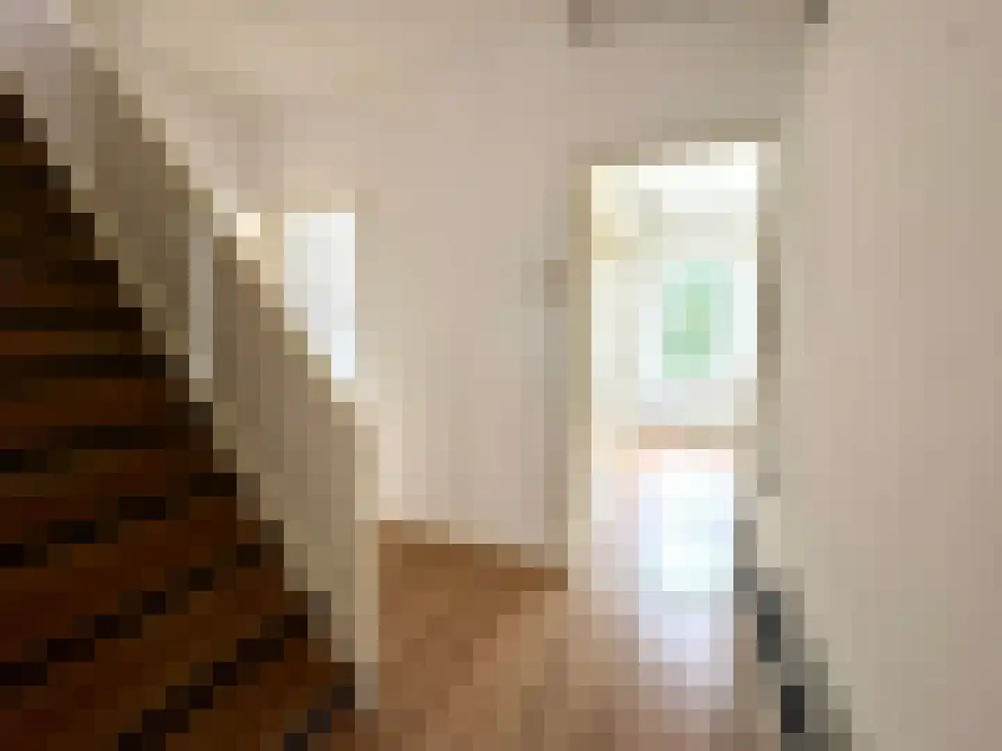 Sonoystraat 22 A Rotterdam thumbnail 6