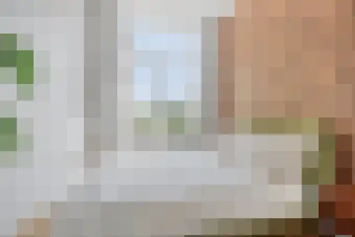 Sonoystraat 22 Den Haag thumbnail 21