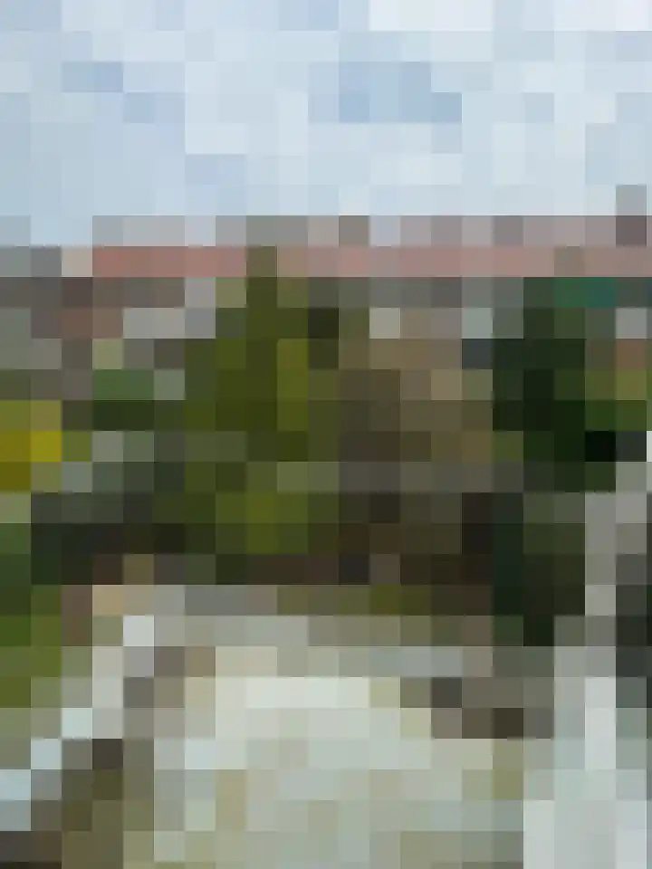 Sonoystraat 24 C Rotterdam thumbnail 11