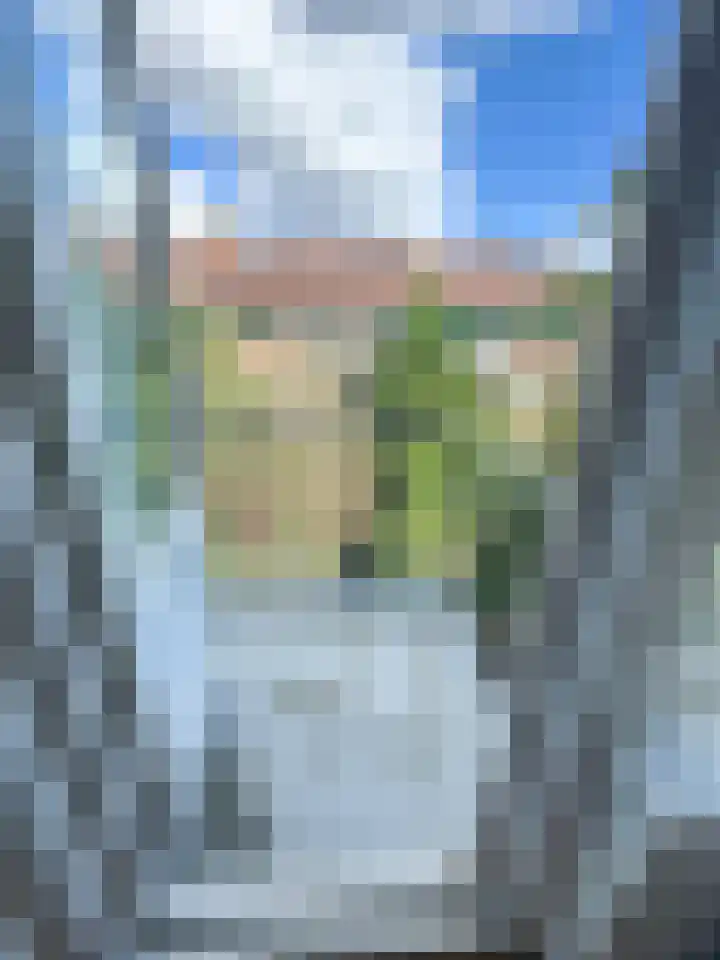Sonoystraat 24 C Rotterdam thumbnail 16