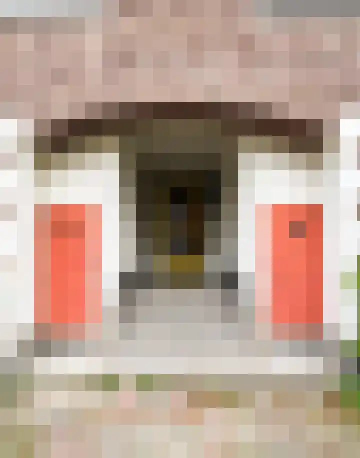 Sonoystraat 24 C Rotterdam thumbnail 26