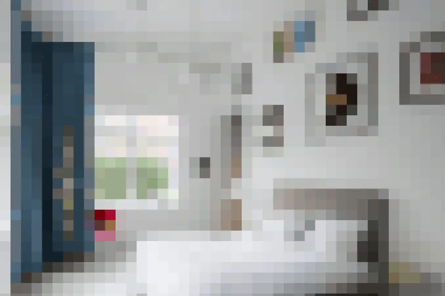 Sonoystraat 3 Rotterdam thumbnail 9