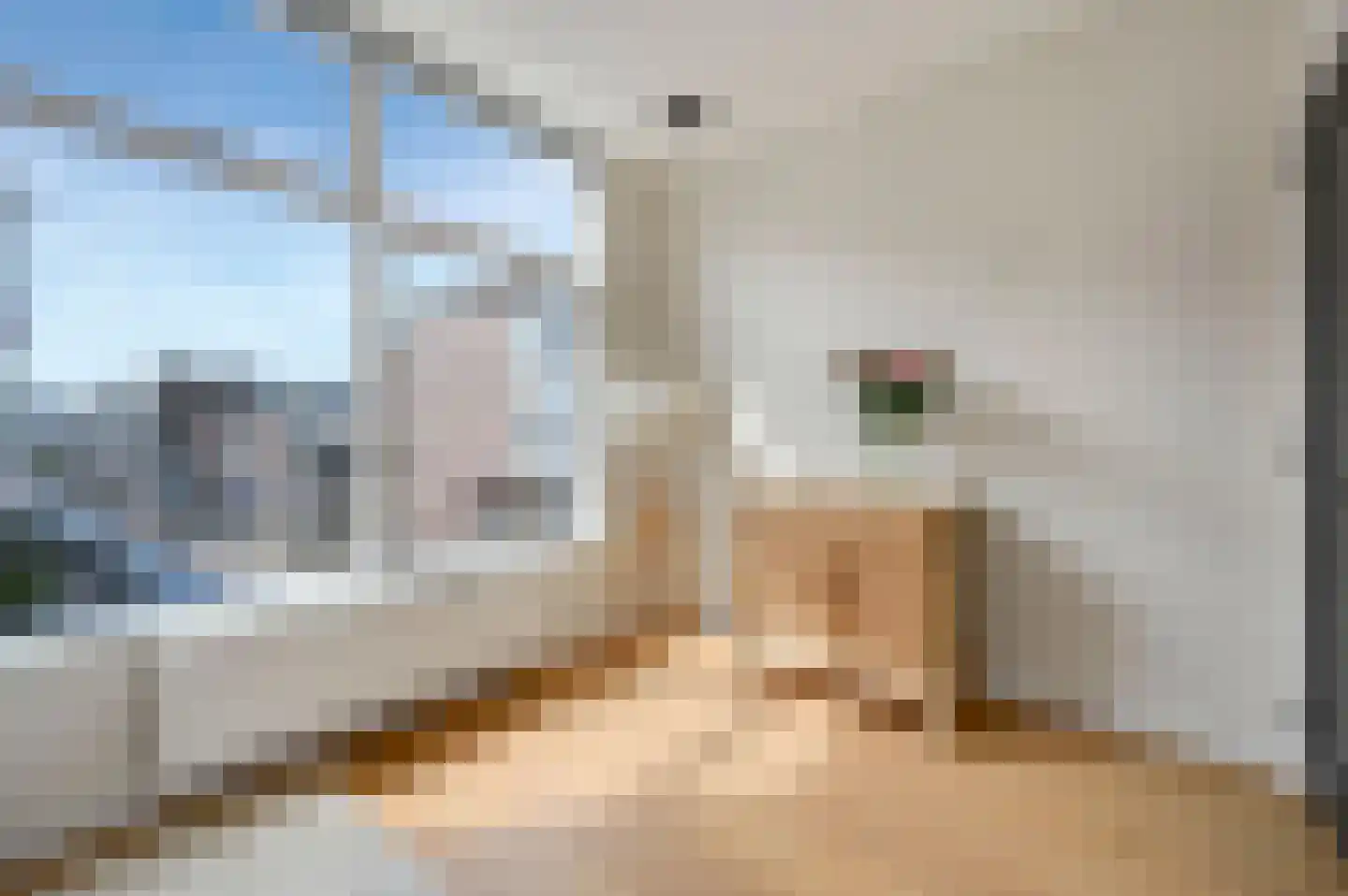 Sonoystraat 47 Den Haag thumbnail 30