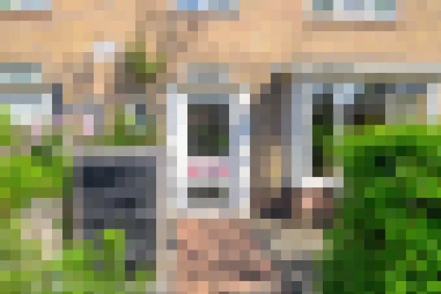 Sonoystraat 59 Medemblik thumbnail 6