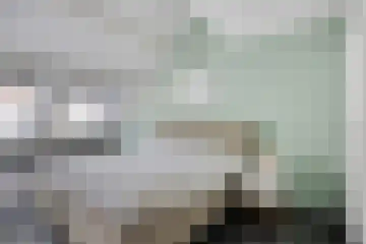 Sonsbeek 3 Zwijndrecht thumbnail 15