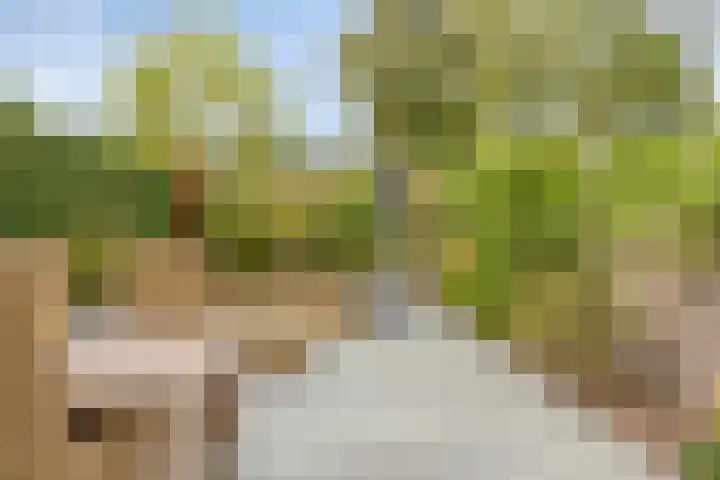 Sonsbeek 3 Zwijndrecht thumbnail 27