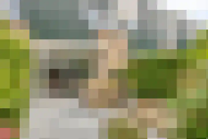 Sonsbeek 3 Zwijndrecht thumbnail 29