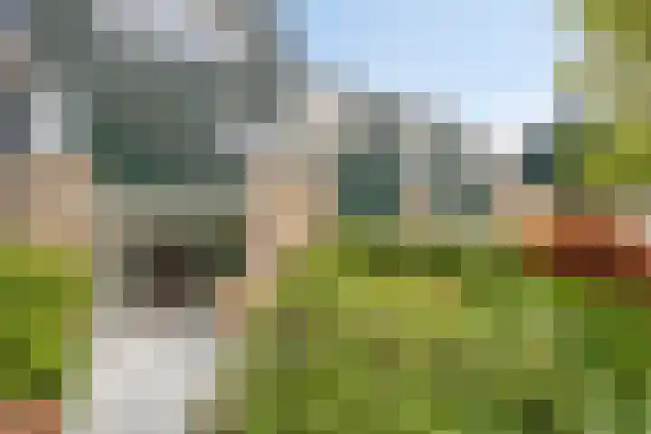 Sonsbeek 3 Zwijndrecht thumbnail 30