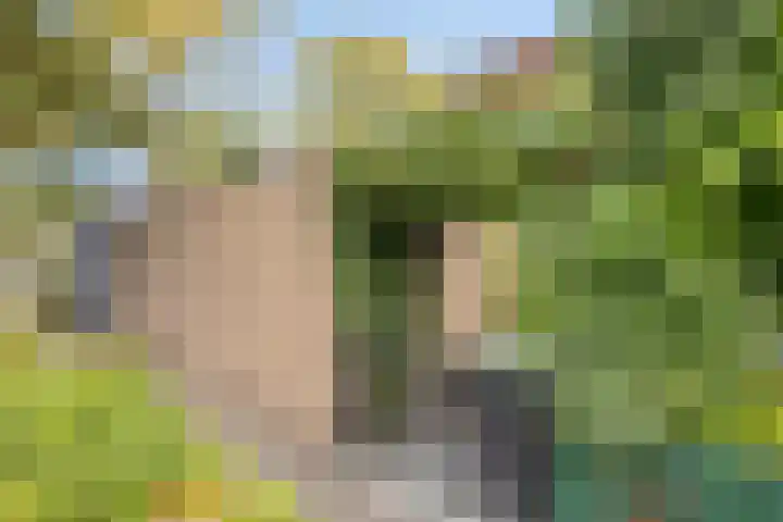 Sonsbeek 3 Zwijndrecht thumbnail 31