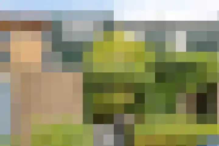 Sonsbeek 3 Zwijndrecht thumbnail 32