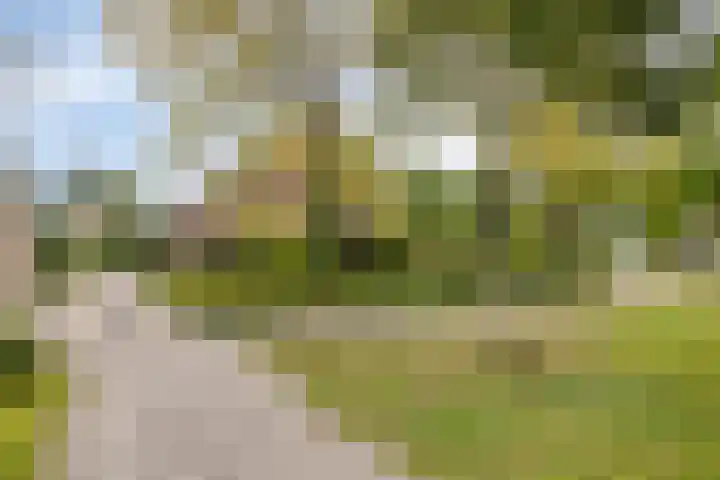 Sonsbeek 3 Zwijndrecht thumbnail 33