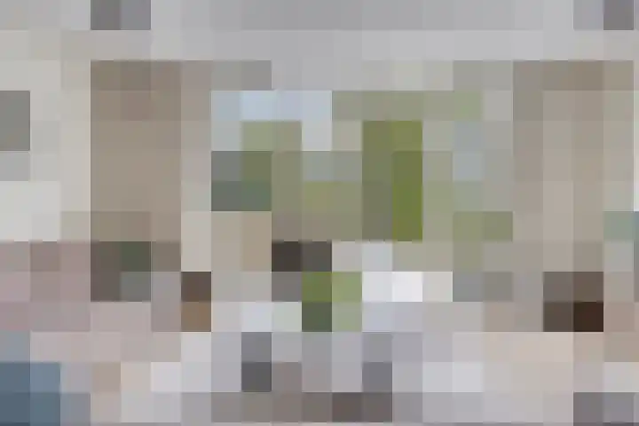 Sonsbeek 3 Zwijndrecht thumbnail 5