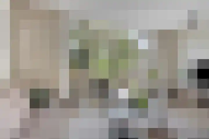 Sonsbeek 3 Zwijndrecht thumbnail 7