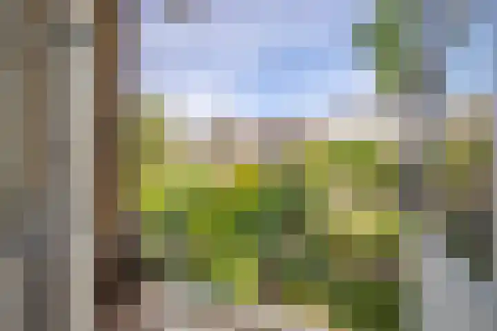 Sonsbeeksingel 19 2 Arnhem thumbnail 18