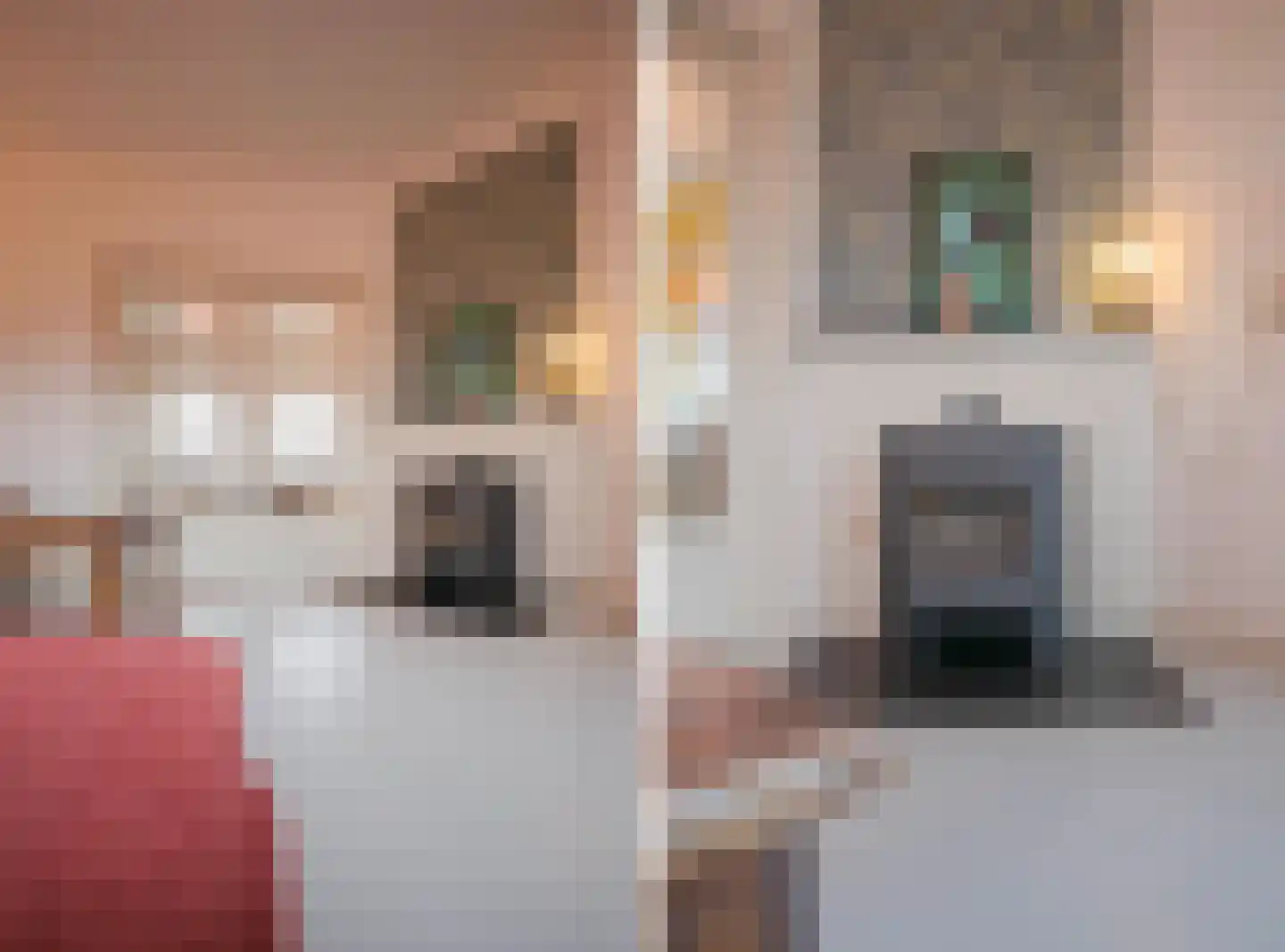 Sonsbeeksingel 21 3 Arnhem thumbnail 18