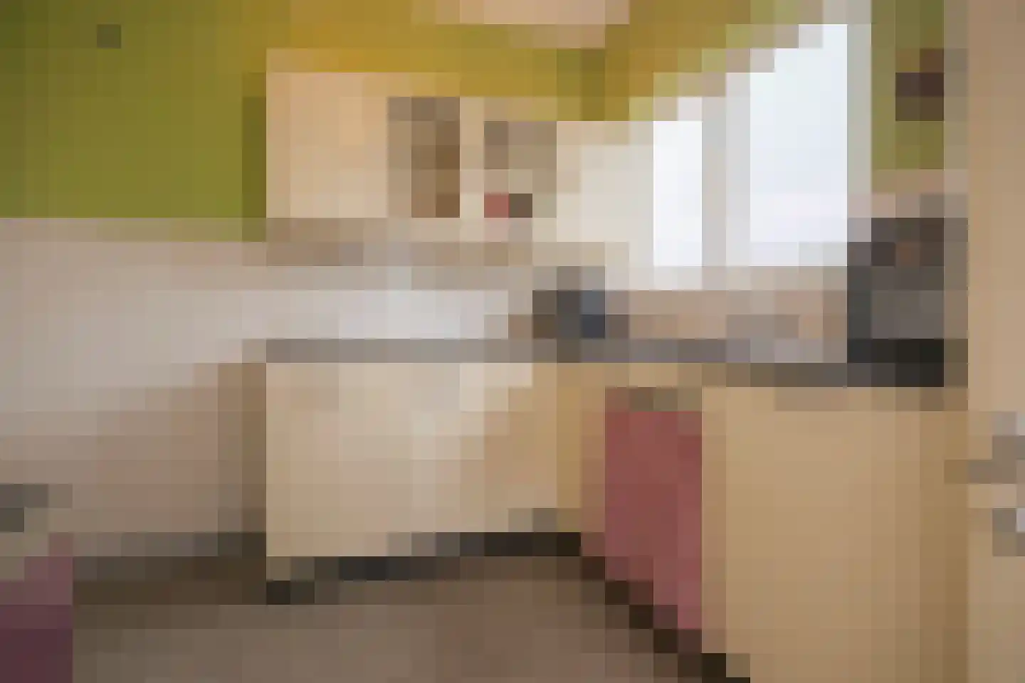 Sonsbeeksingel 21 3 Arnhem thumbnail 24