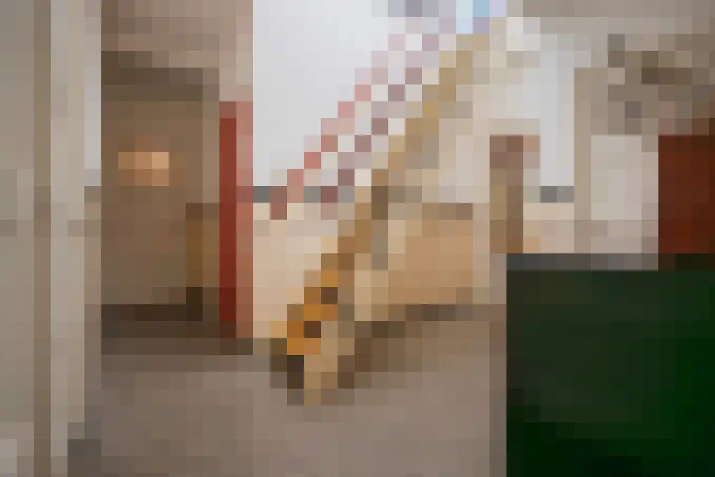 Sonsbeeksingel 21 3 Arnhem thumbnail 27