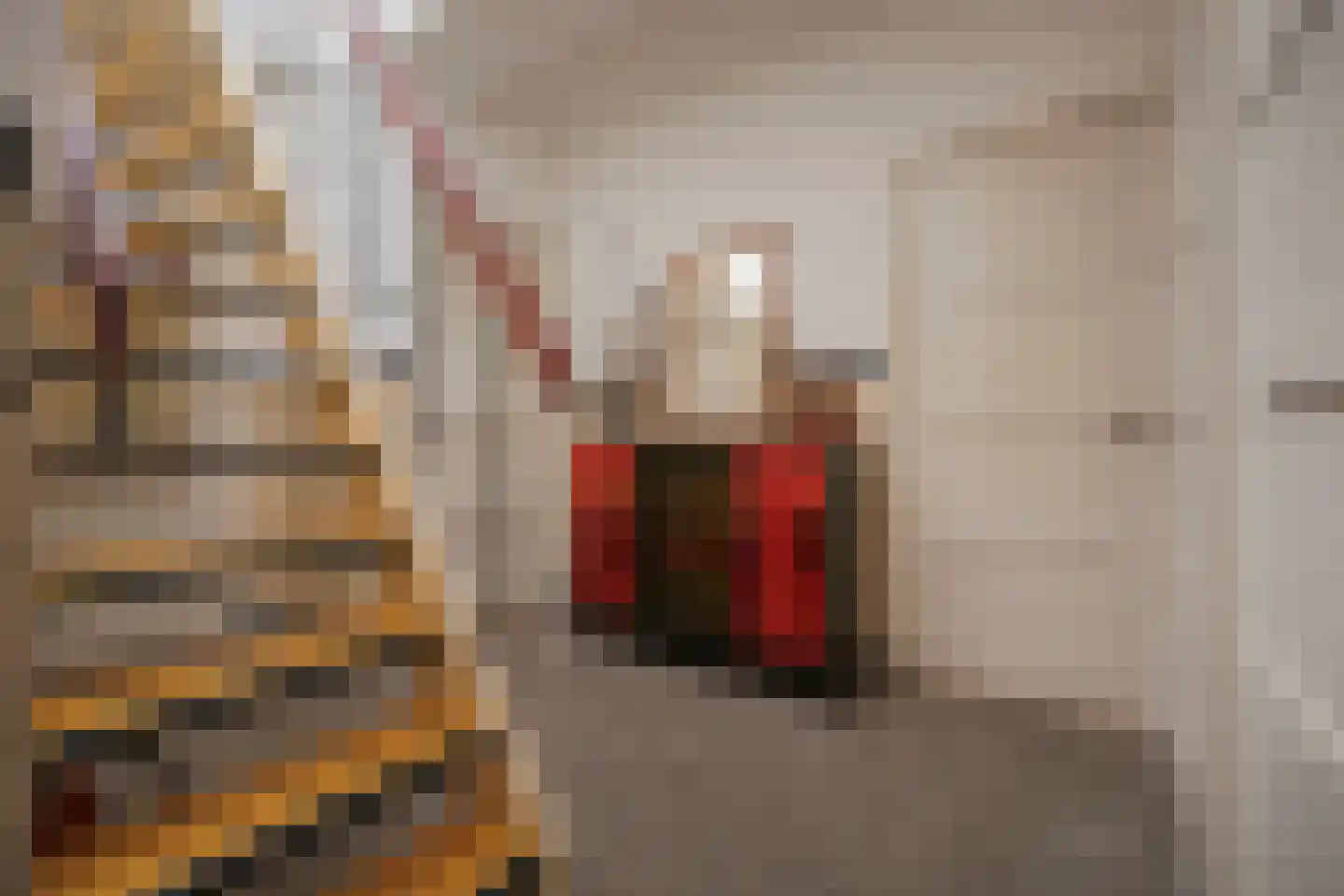 Sonsbeeksingel 21 3 Arnhem thumbnail 28
