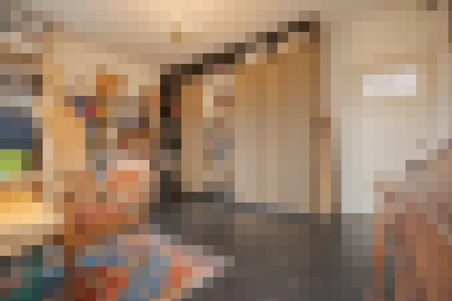 Sonsbeeksingel 21 3 Arnhem thumbnail 33