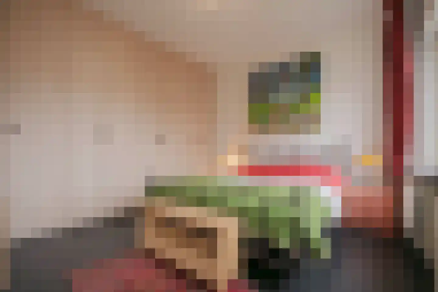 Sonsbeeksingel 21 3 Arnhem thumbnail 35