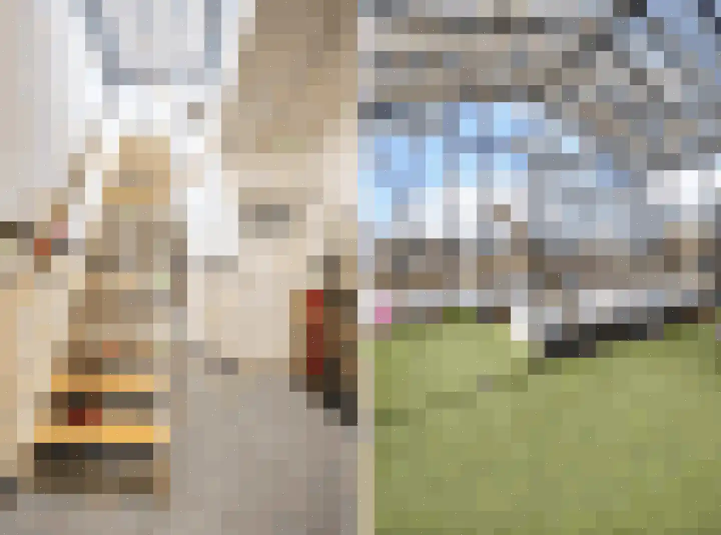 Sonsbeeksingel 21 3 Arnhem thumbnail 44