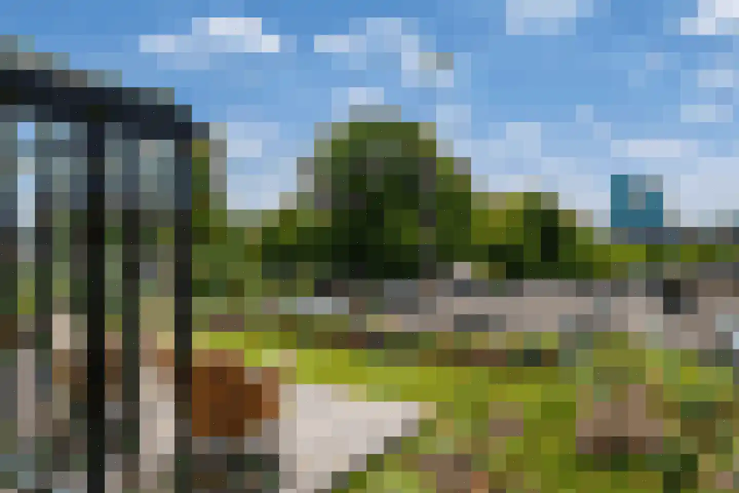 Sonsbeeksingel 21 3 Arnhem thumbnail 49
