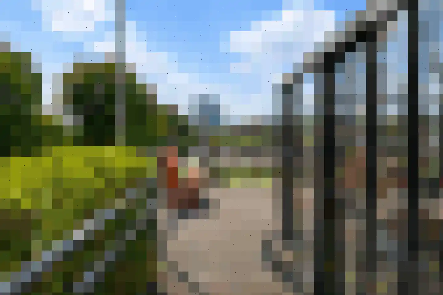 Sonsbeeksingel 21 3 Arnhem thumbnail 5