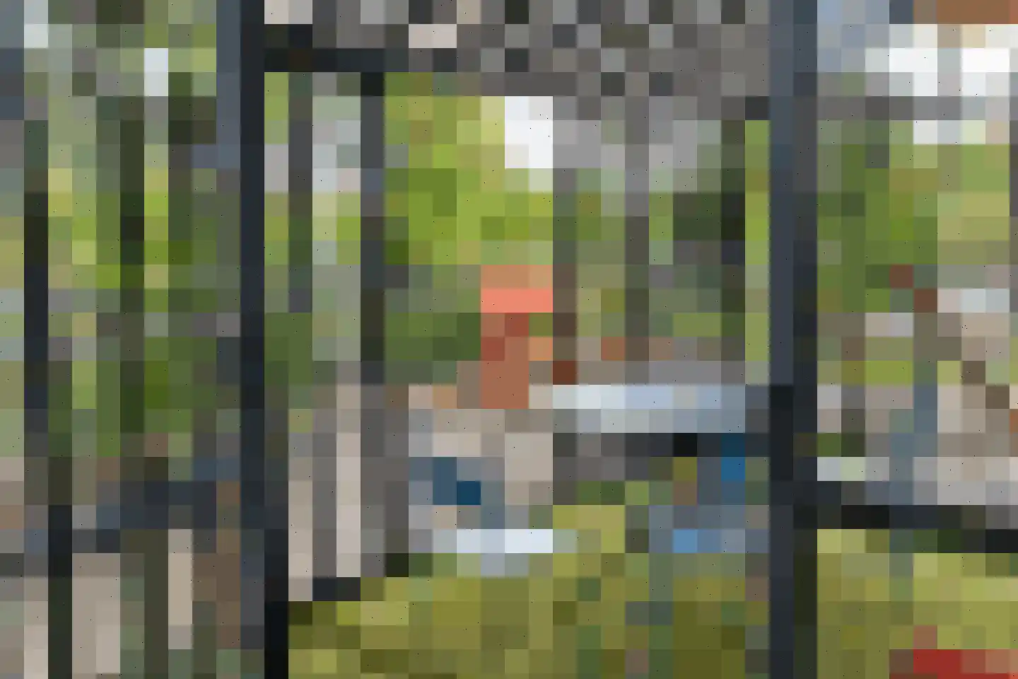 Sonsbeeksingel 21 3 Arnhem thumbnail 50