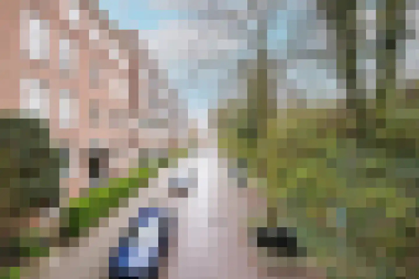 Sonsbeeksingel 21 3 Arnhem thumbnail 56