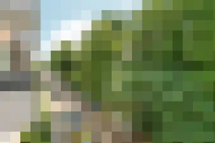 Sonsbeeksingel 25 7 Arnhem thumbnail 23