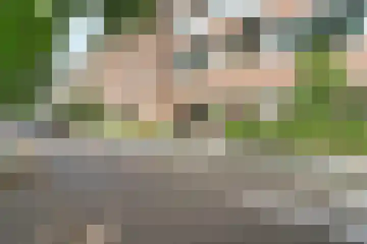 Sonsbeeksingel 25 7 Arnhem thumbnail 5