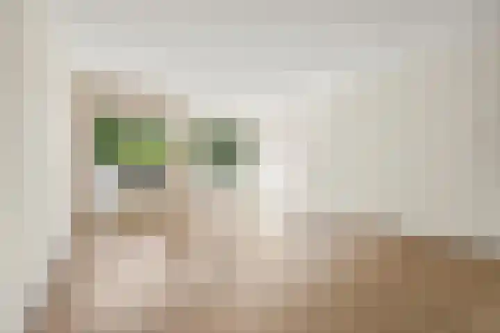 Sonsbeeksingel 25 7 Arnhem thumbnail 9