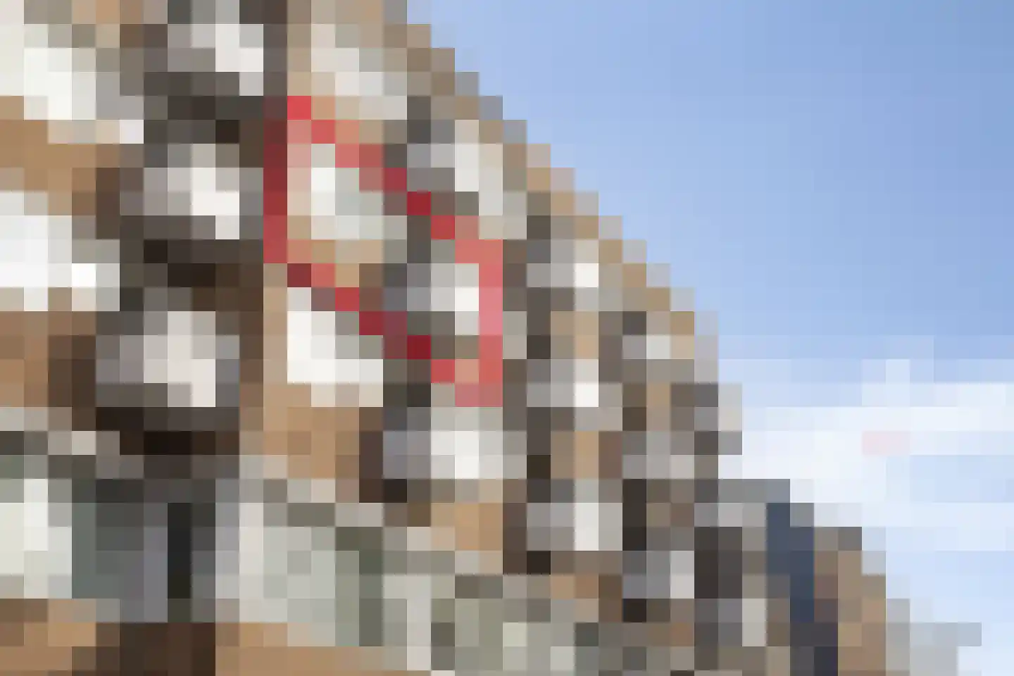 Sonsbeeksingel 26 4 Arnhem thumbnail 7