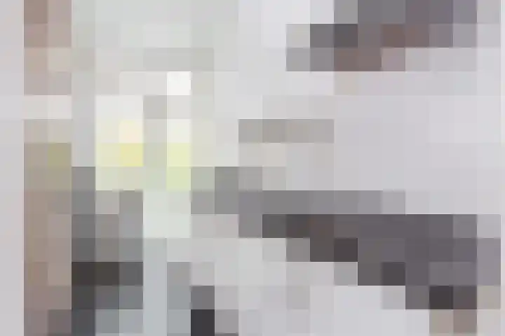 Sonsbeeksingel 26 6 Arnhem thumbnail 31
