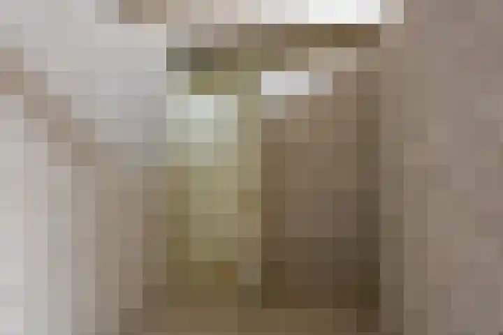 Sonsbeeksingel 26 6 Arnhem thumbnail 33