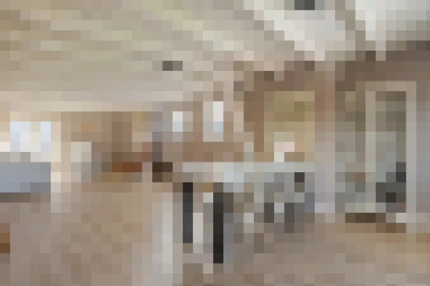 Sonsbeeksingel 54 2 Arnhem thumbnail 13
