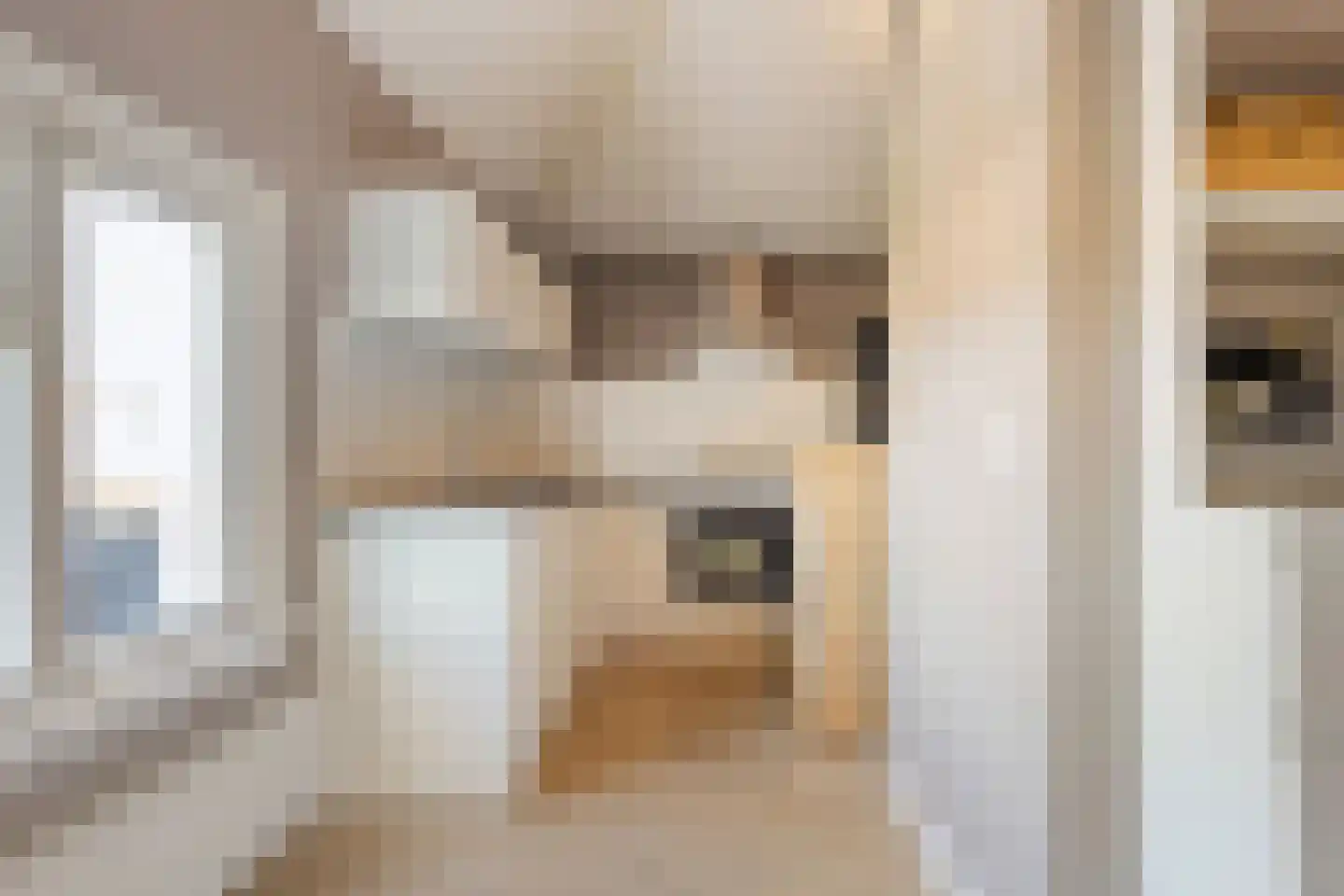 Sonsbeeksingel 54 2 Arnhem thumbnail 17