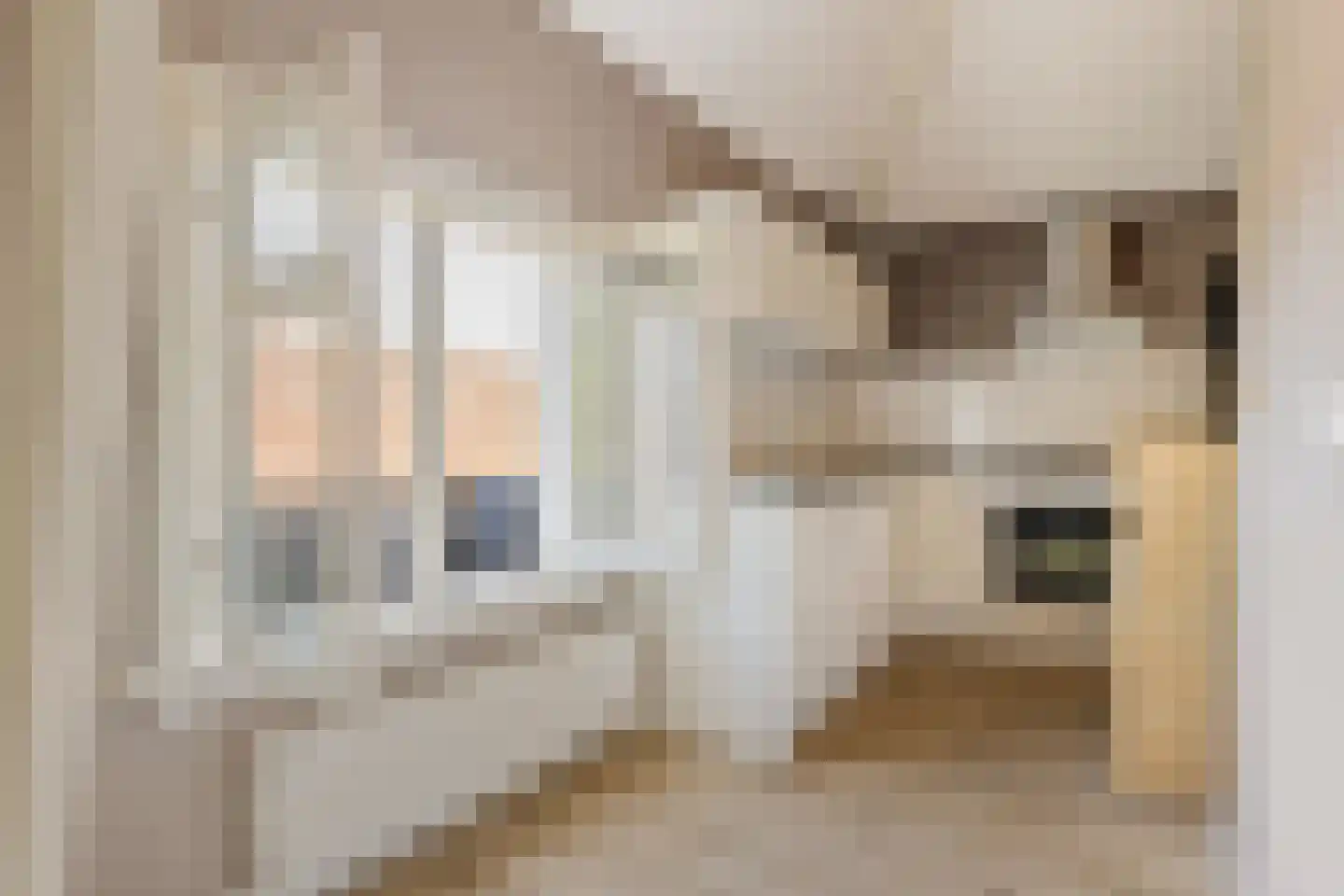 Sonsbeeksingel 54 2 Arnhem thumbnail 19