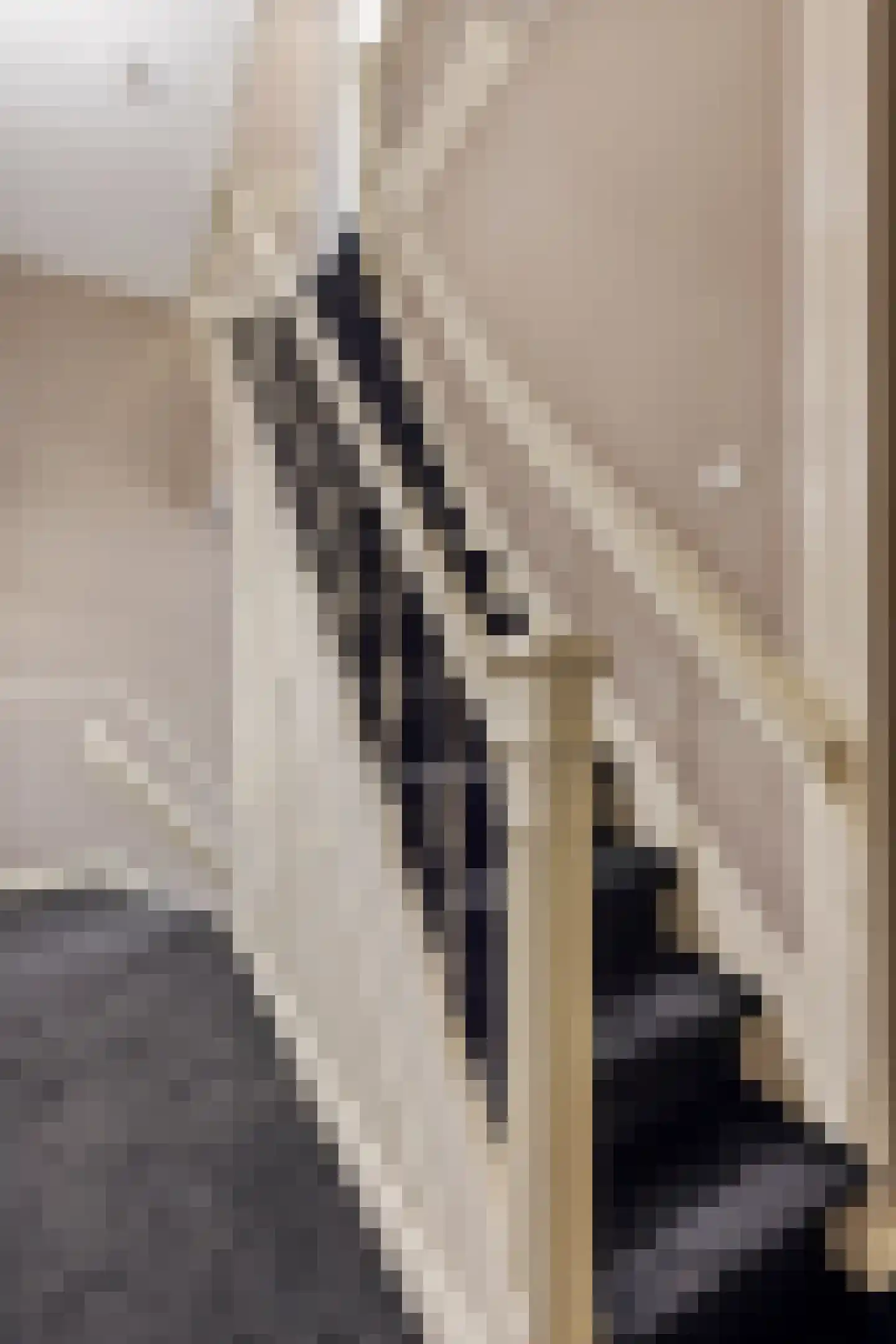 Sonsbeeksingel 54 2 Arnhem thumbnail 5