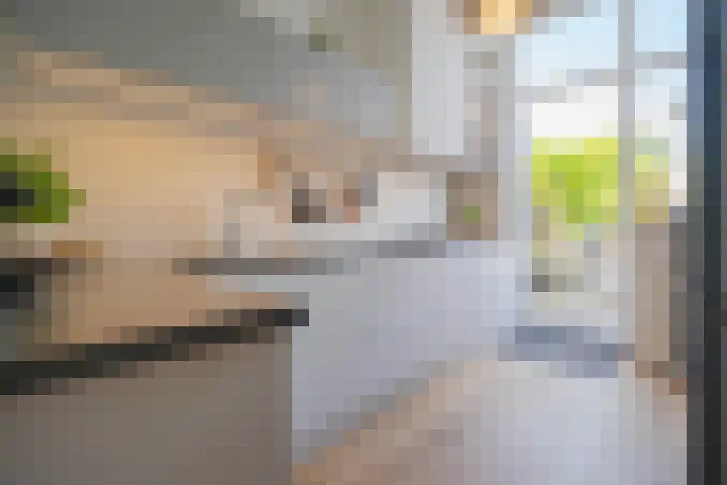 Sonsbeeksingel 66 Arnhem thumbnail 23