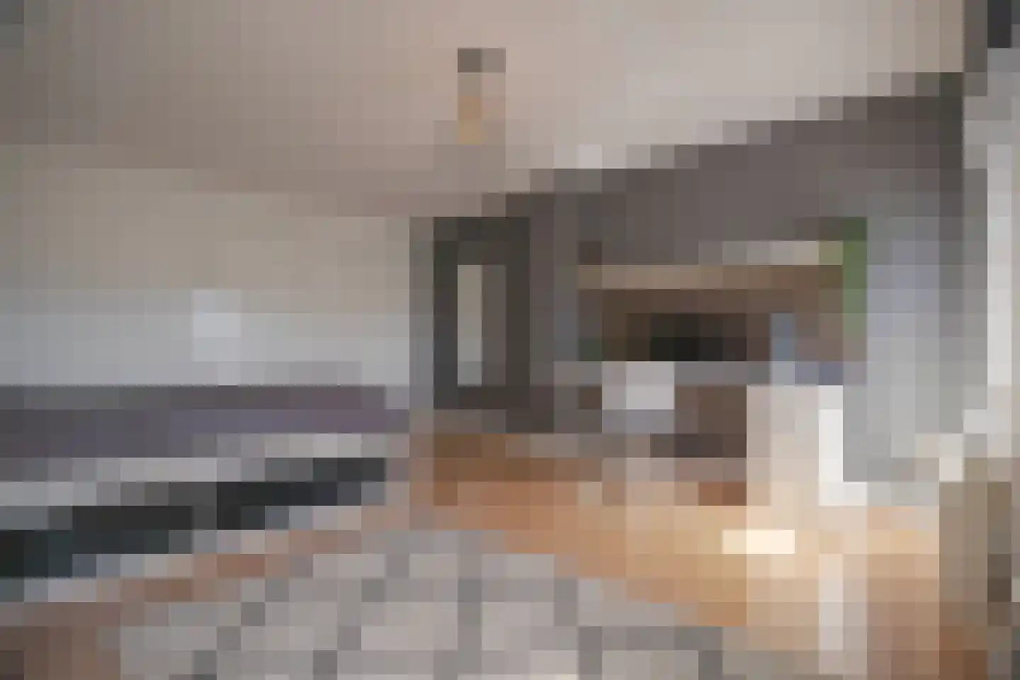 Sonsbeeksingel 66 Arnhem thumbnail 43