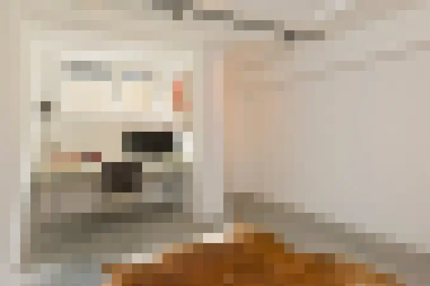 Sonsbeeksingel 67 Arnhem thumbnail 36