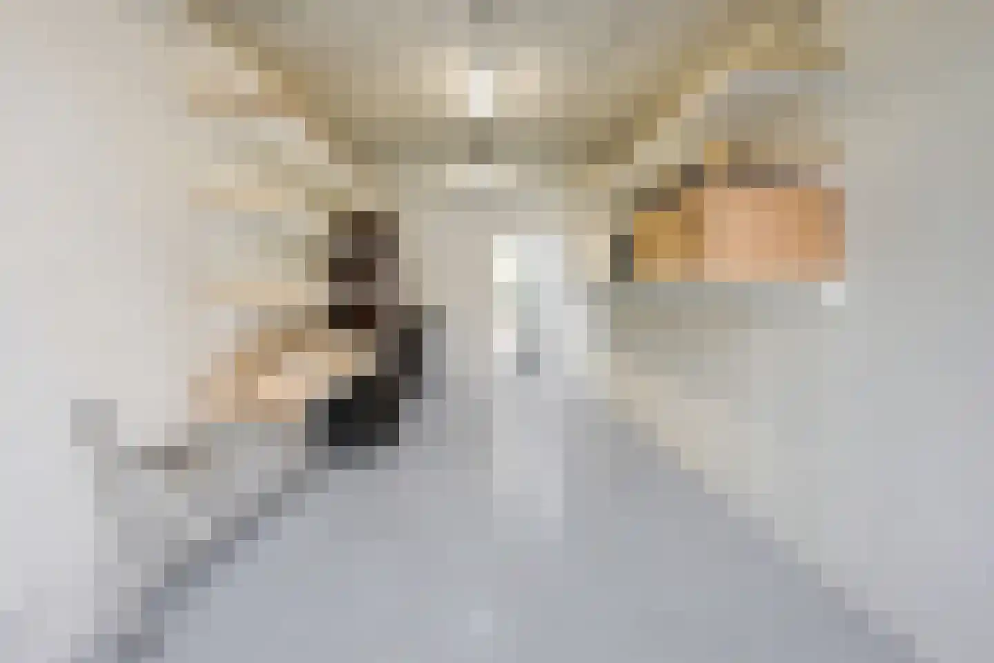 Sonsbeeksingel 67 Arnhem thumbnail 5
