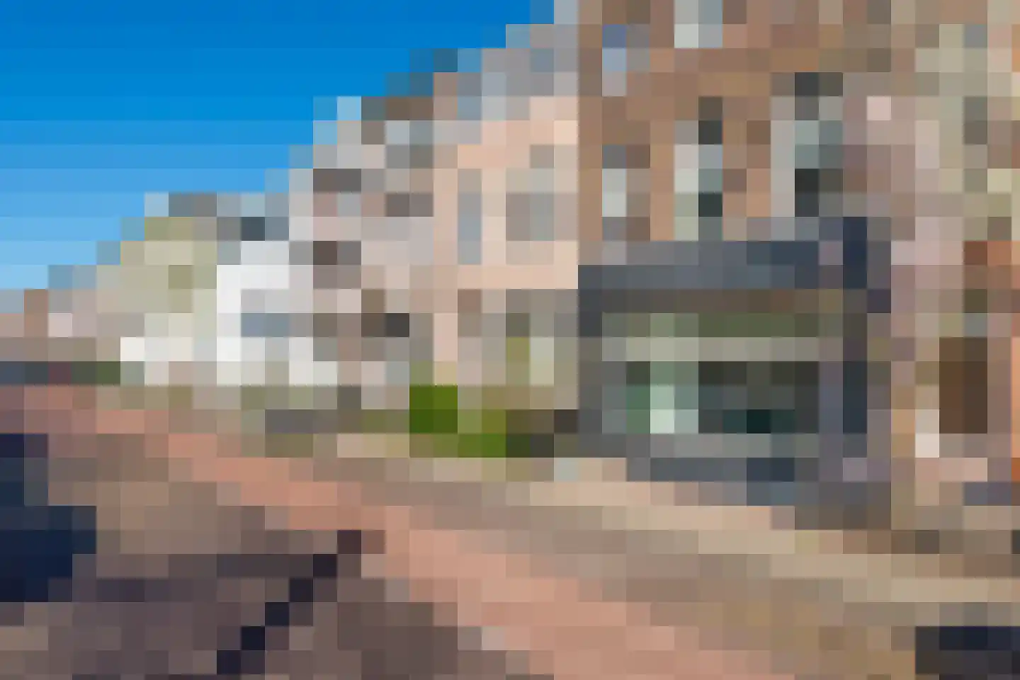 Sonsbeeksingel 67 Arnhem thumbnail 55