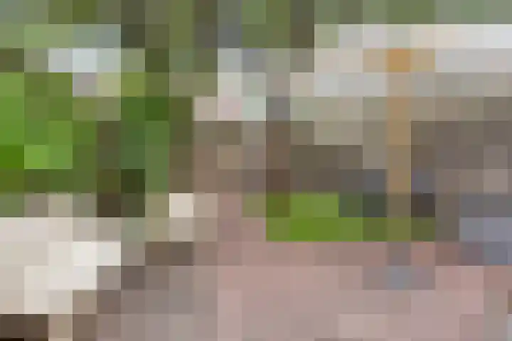 Sonsbeeksingel 68 Arnhem